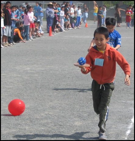 Field 081.jpg